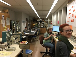 Students in Lab