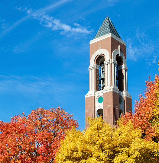 Schaffer Tower