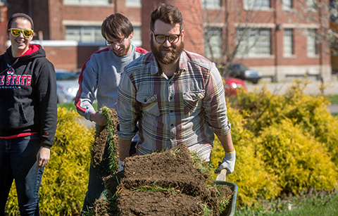 man using a wheelbarrow