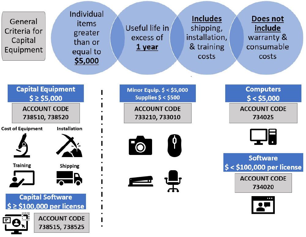 Capital (Fixed) Assets
