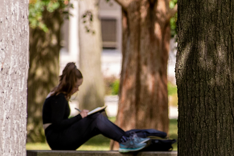 Student reading next to tree
