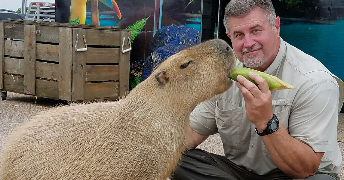 Wild World of Animals