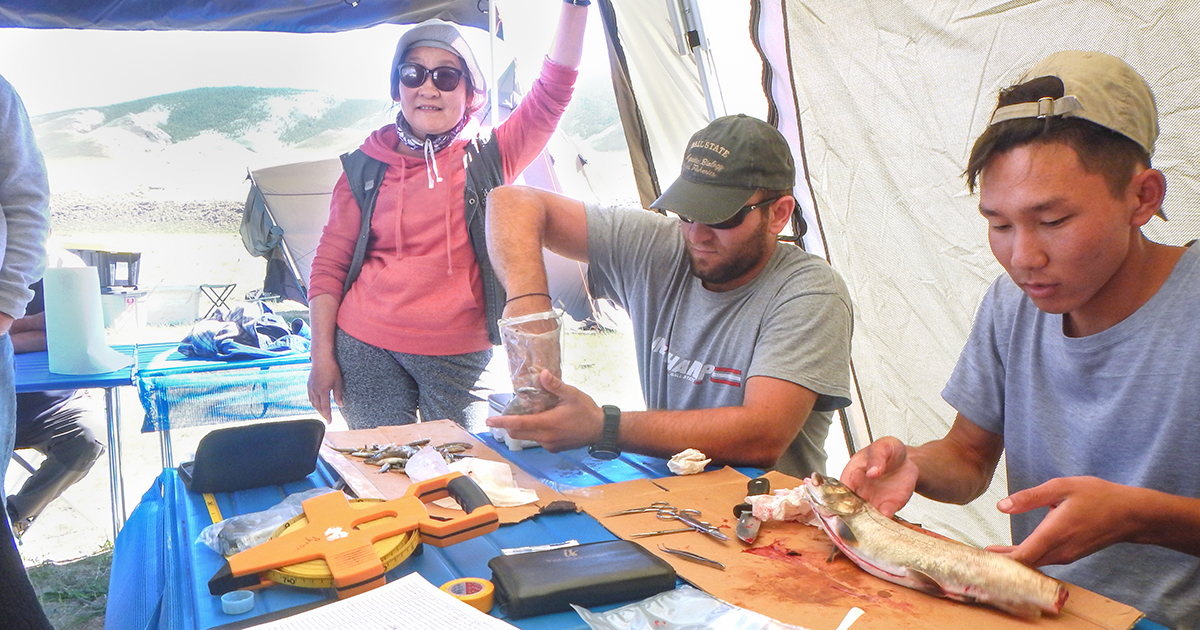 environmental sciences students working with fish