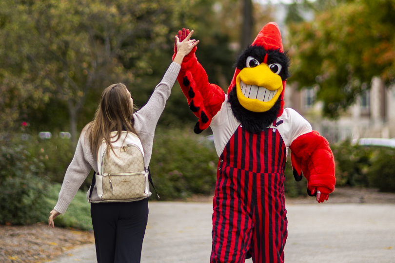 Charlie Cardinal mascot giving a high-five to a student walking on campus