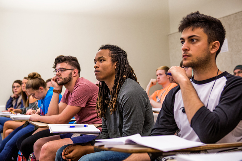 Academic Programs in the Department of Educational Studies | Ball State ...