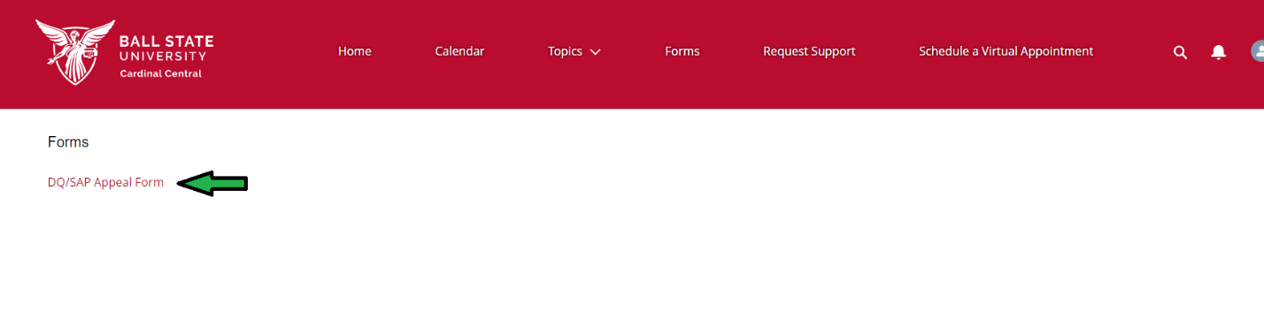 DQ SAP Appeal screen