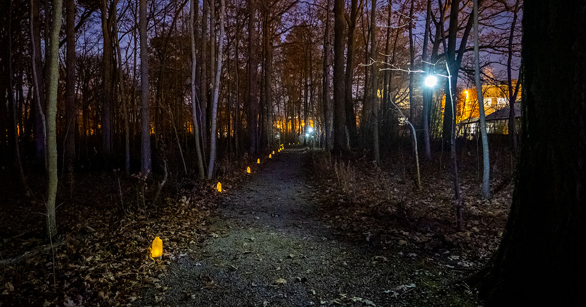 Holiday Arts and Culture Luminary Walk