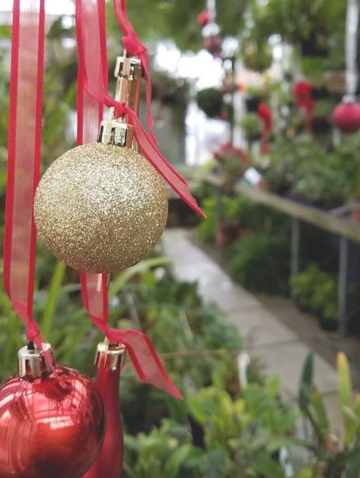 ornaments hung in Rinard Orchid Greenhouse