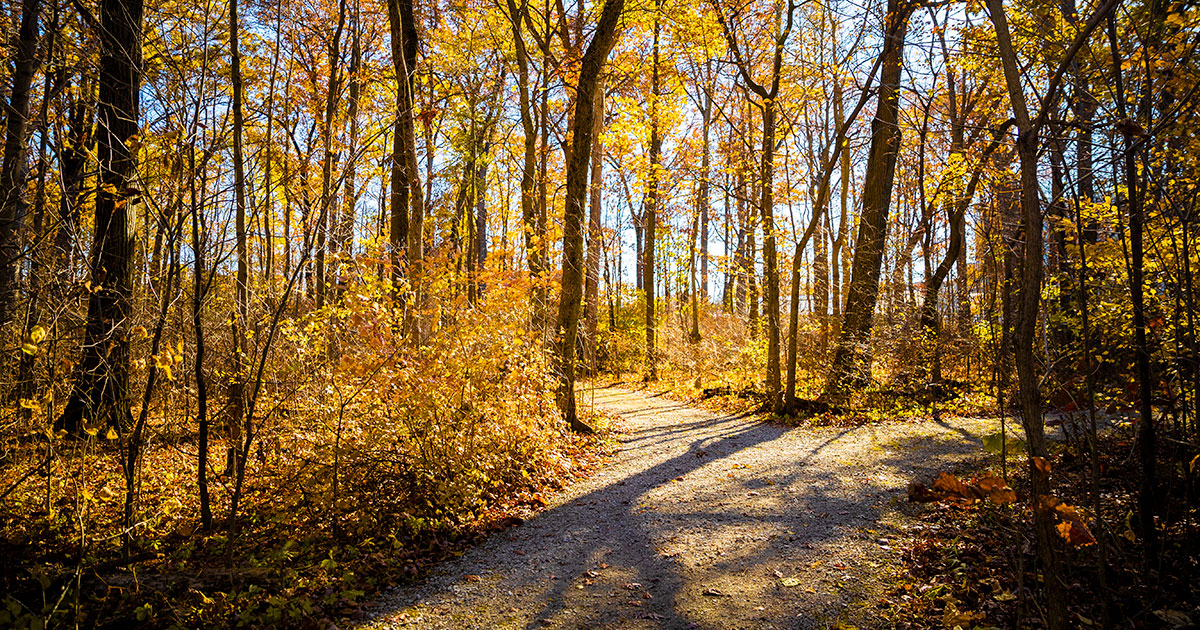 Field Station and Environmental Education Center