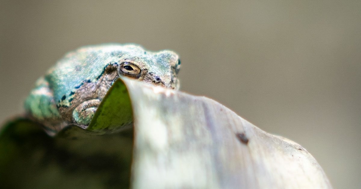 Field Station and Environmental Education Center