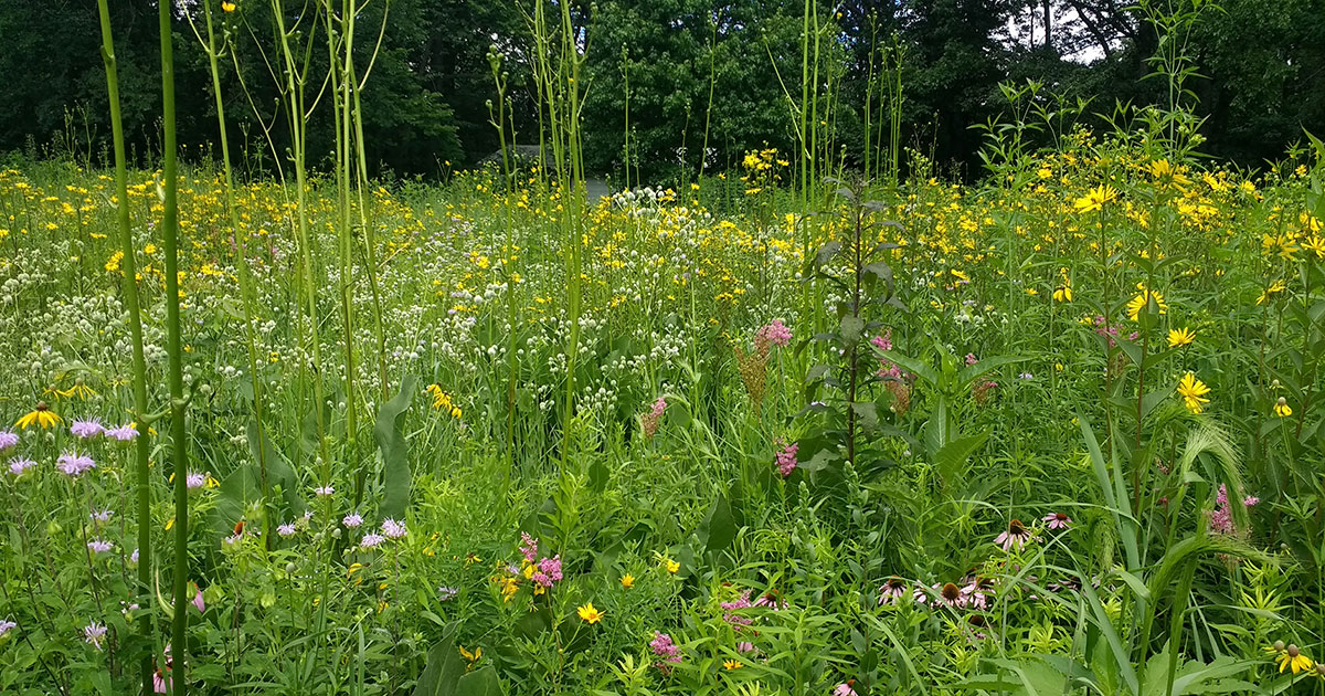 Photo in Christy Woods