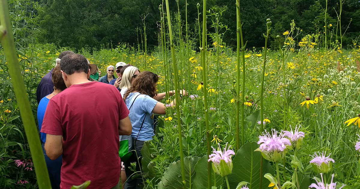 Photo in Christy Woods