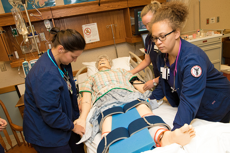 Simulation and Information Technology Center