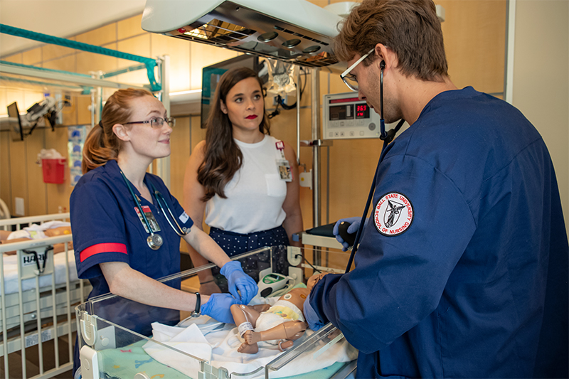 Nursing students working in a simulation lab