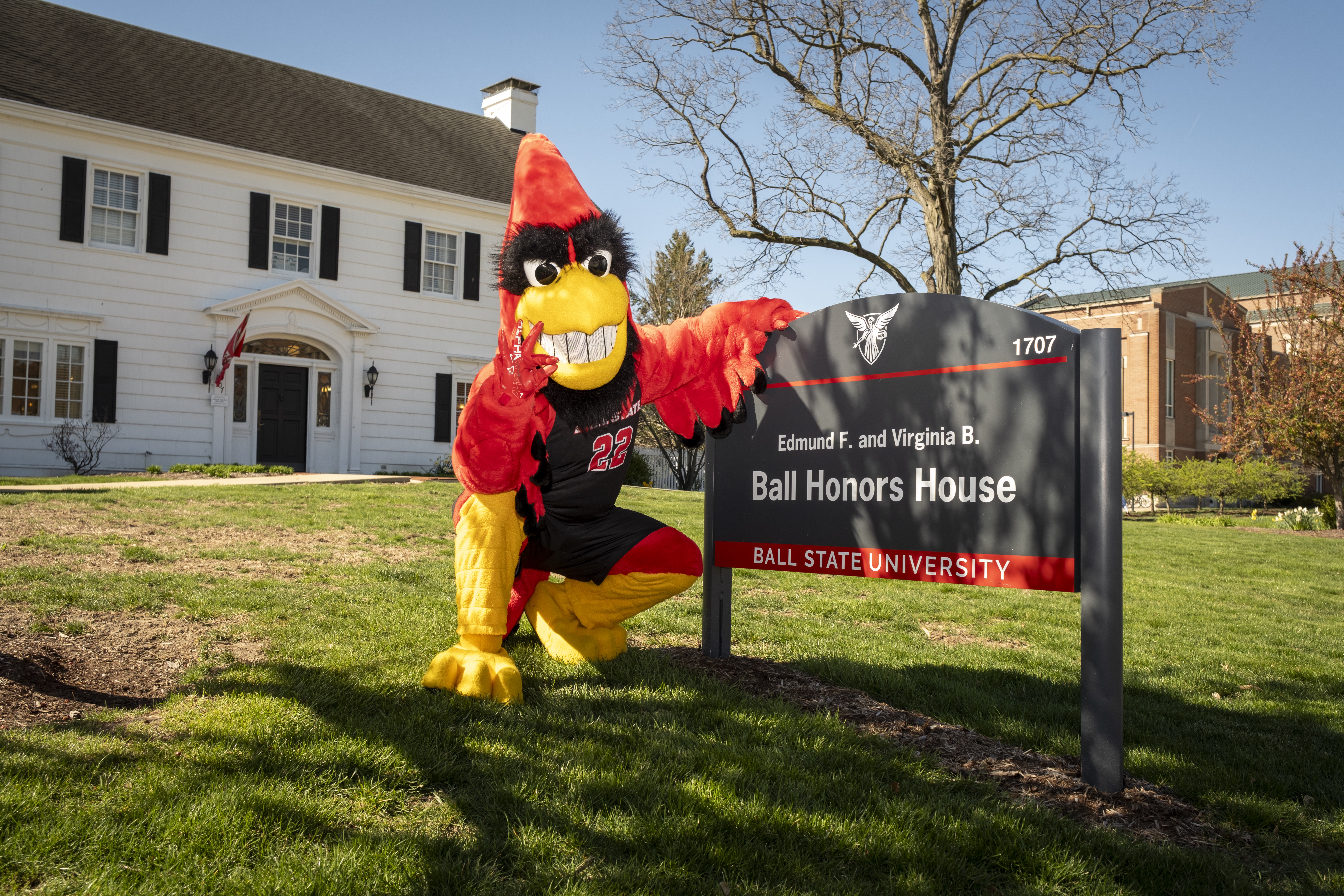 Charlie the Cardinal poses by the Ball Honors House sign on Ball State s campus