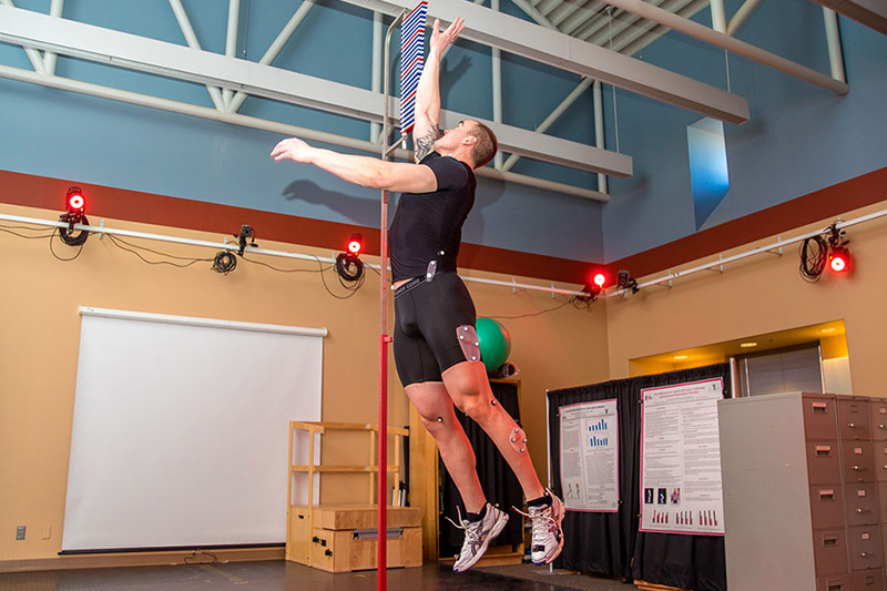 PhD in Human Bioenergetics