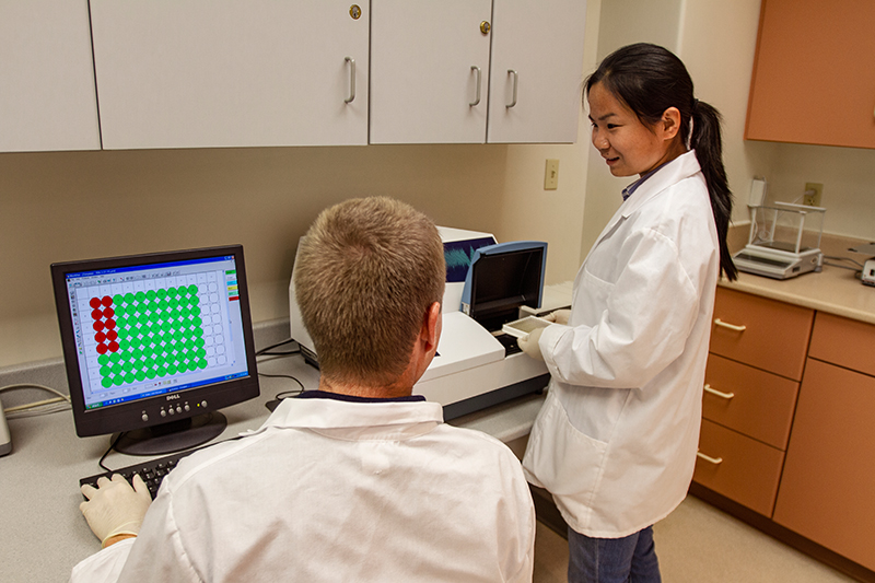 Students working in the Molecular Biology Lab