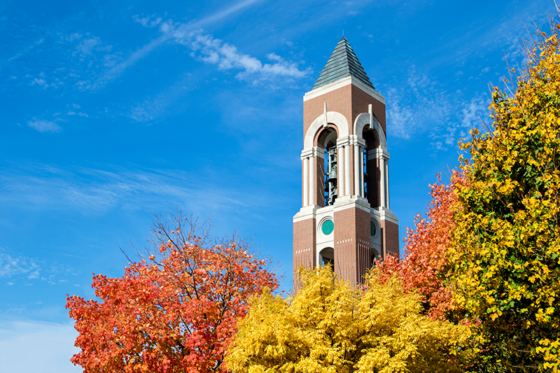Shafer Tower in the summer