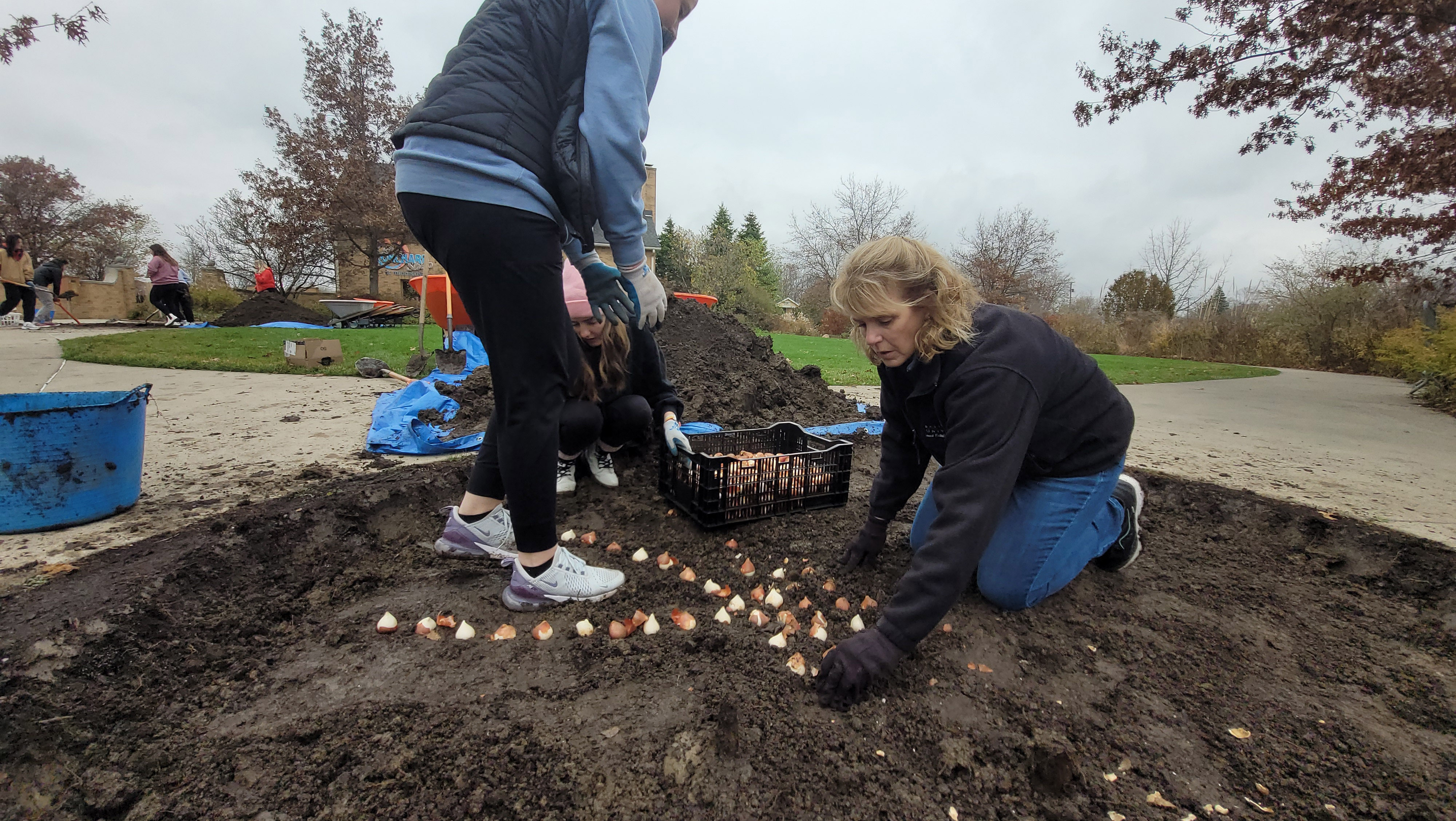 On the right of the photo is Dawn Condon from Ball State kneeling in a flower bed, placing tulip bulbs. On the left is a Speech-Language-Pathology Student Standing and assisting in the planting task.