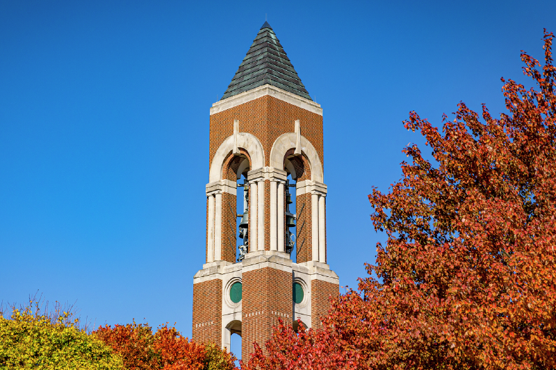 Top half of the Ball Tower in front of a blue sky with trees in the foreground.