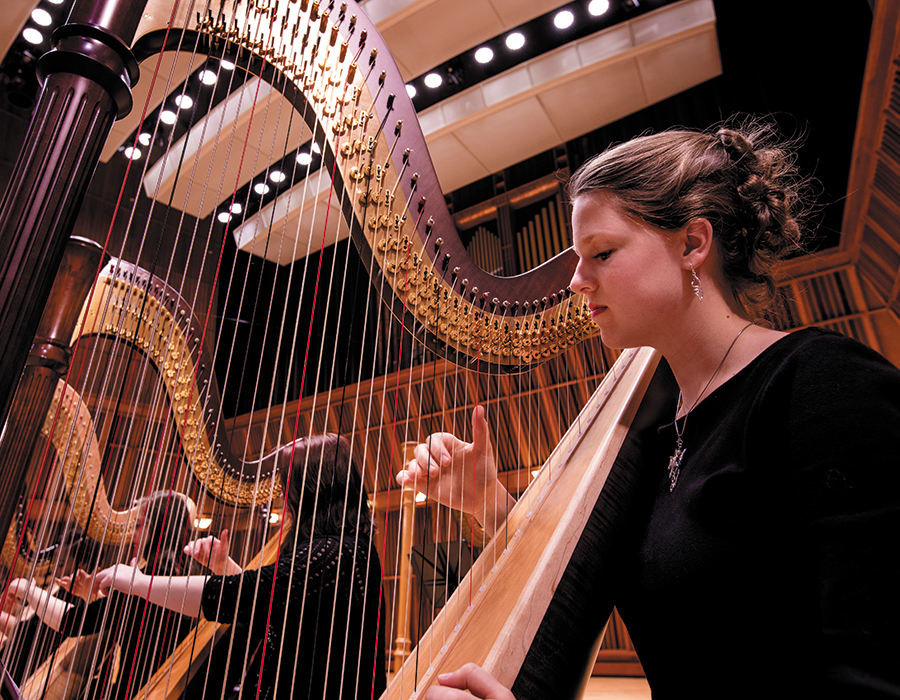 harpist in Sursa Hall