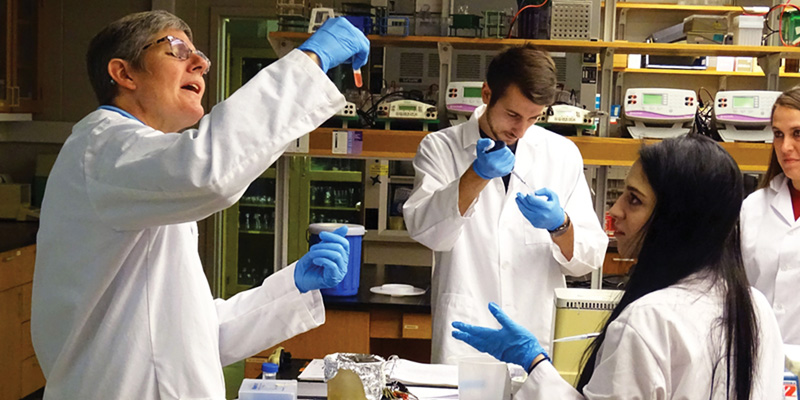 Professor working in a lab with students