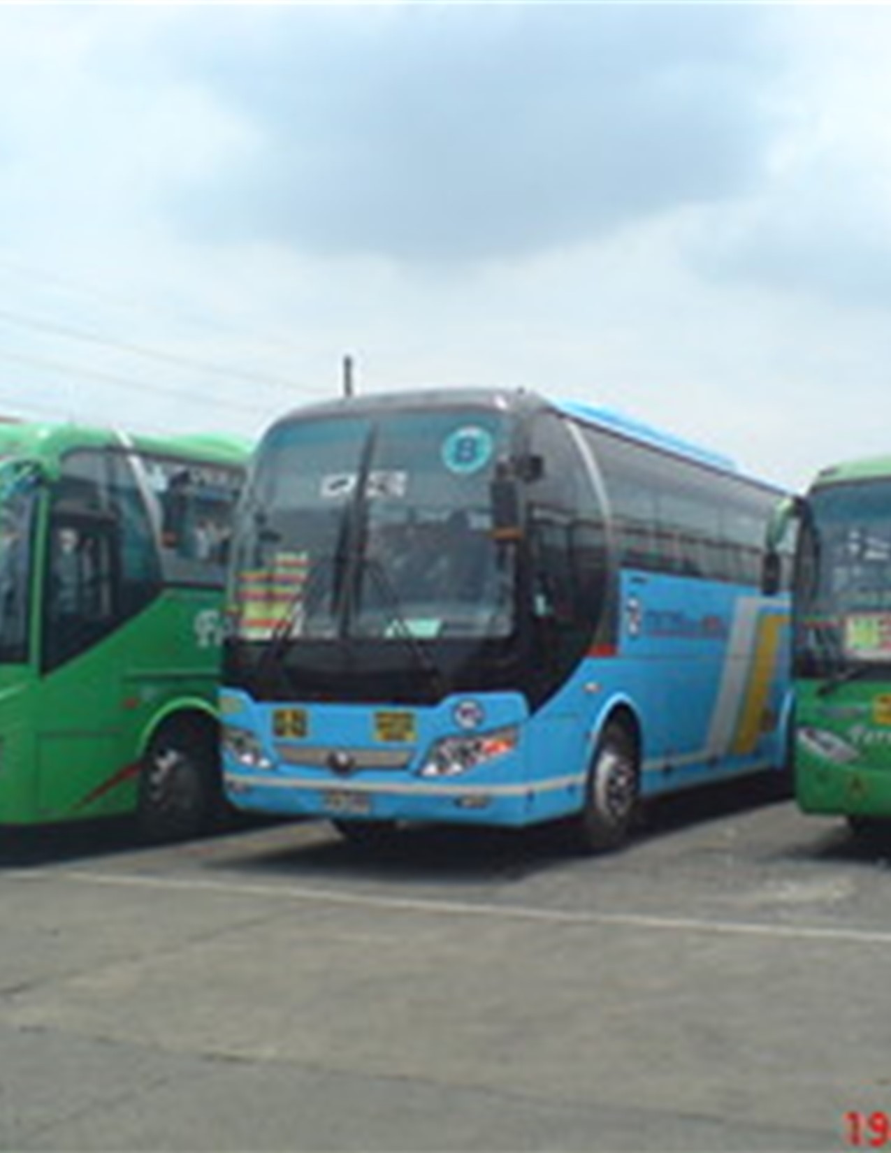 Blue Ball State University shuttle bus with a B logo parked with other green buses 