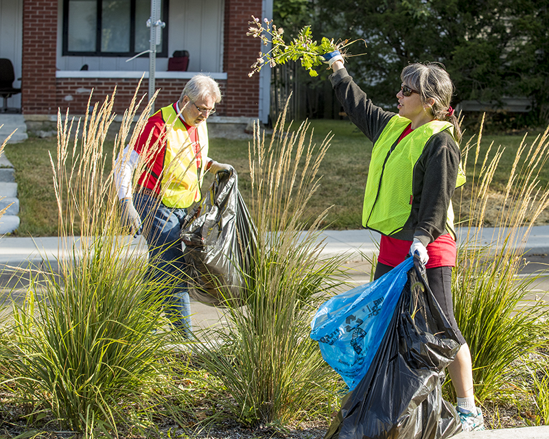volunteers picking up trash
