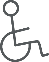 Accessibility Icon