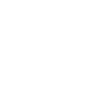 Car Icon white