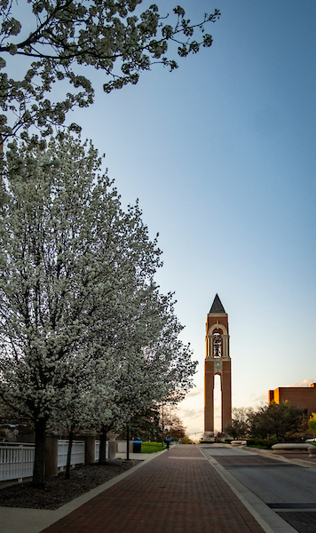 Shafer Tower in the Spring