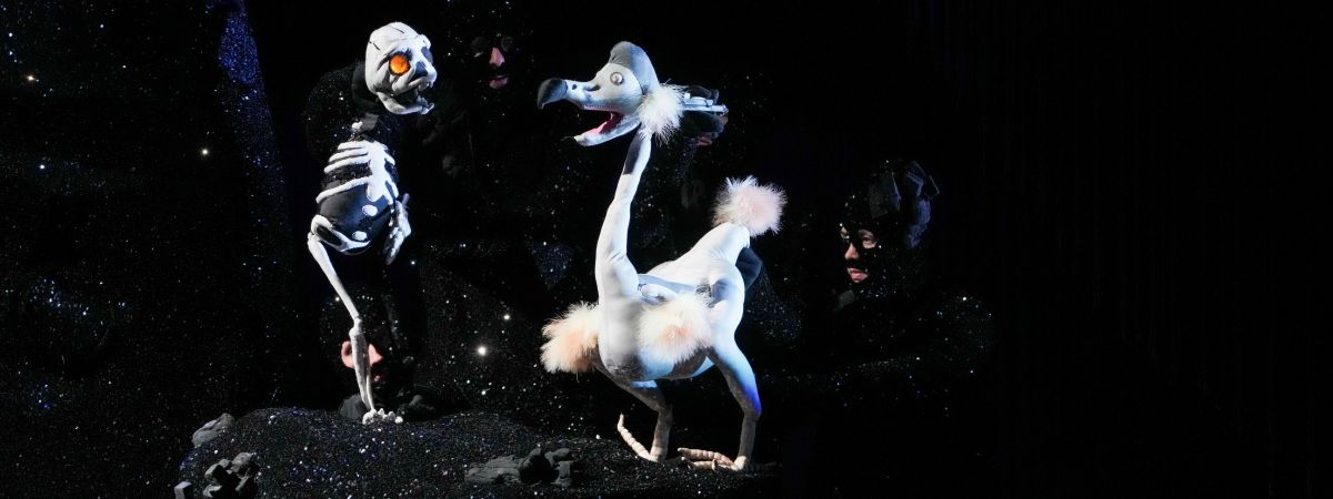 The skeleton boy and skeleton dodo bird from Wakka Wakka's Dead as a Dodo stand together on a sparkly black sequined rock talking together.