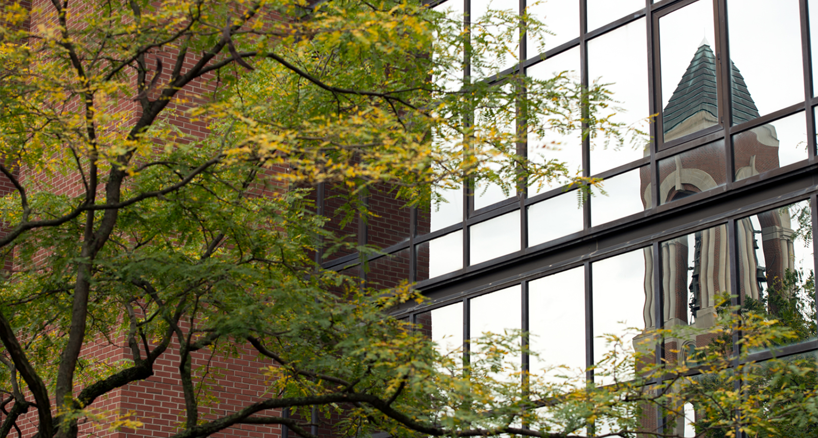 Shafer Tower reflecting off nearby building
