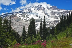 Mount Rainier