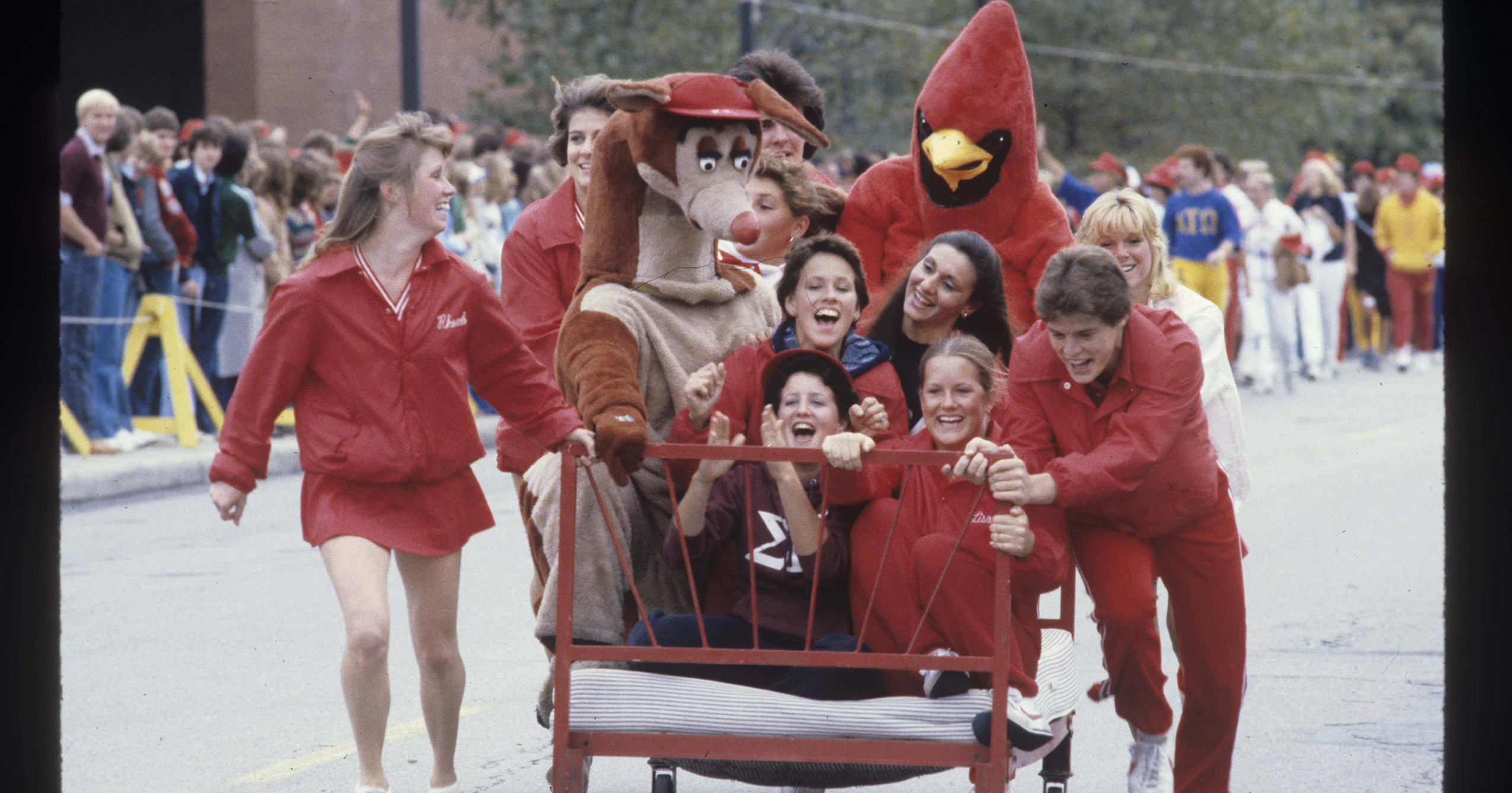 Participants compete in the 1981 Ball State Homecoming bed races alongside Charlie Cardinal and another mascot.