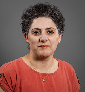 Delaram Mirfendereski